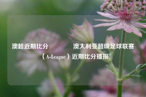 澳超近期比分🥉澳大利亚超级足球联赛（A-League）近期比分播报