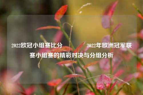 2022欧冠小组赛比分🥇2022年欧洲冠军联赛小组赛的精彩对决与分组分析