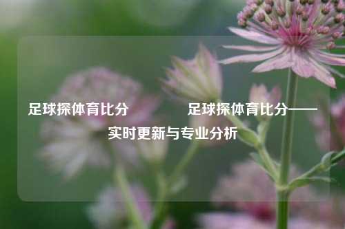 足球探体育比分🌈足球探体育比分——实时更新与专业分析
