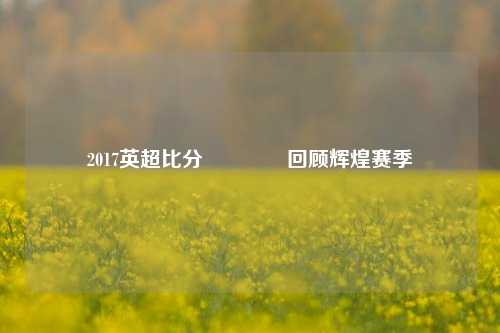2017英超比分🥈回顾辉煌赛季