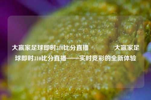 大赢家足球即时310比分直播🏀大赢家足球即时310比分直播——实时竞彩的全新体验
