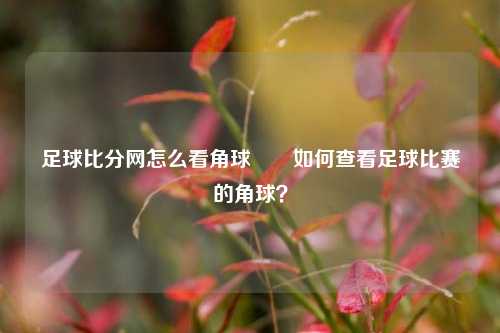 足球比分网怎么看角球✌️如何查看足球比赛的角球？