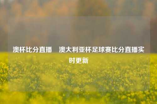 澳杯比分直播⚽澳大利亚杯足球赛比分直播实时更新