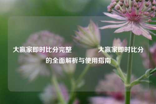 大赢家即时比分完整🥎大赢家即时比分的全面解析与使用指南
