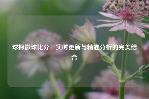 球探微球比分⚾实时更新与精准分析的完美结合