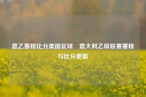 意乙赛程比分美国足球⚾意大利乙级联赛赛程与比分更新
