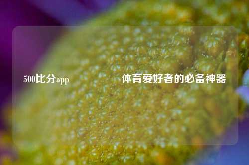 500比分app🎖️体育爱好者的必备神器