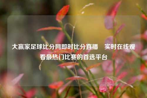 大赢家足球比分网即时比分直播⚽实时在线观看最热门比赛的首选平台