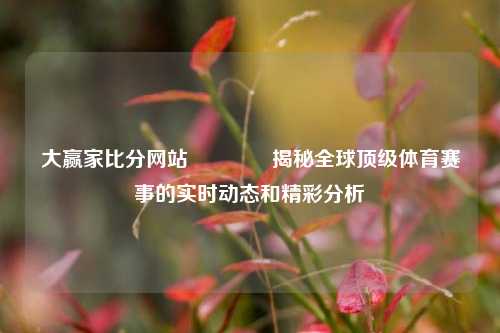 大赢家比分网站🏆揭秘全球顶级体育赛事的实时动态和精彩分析