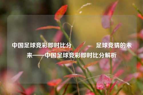 中国足球竞彩即时比分👍足球竞猜的未来——中国足球竞彩即时比分解析