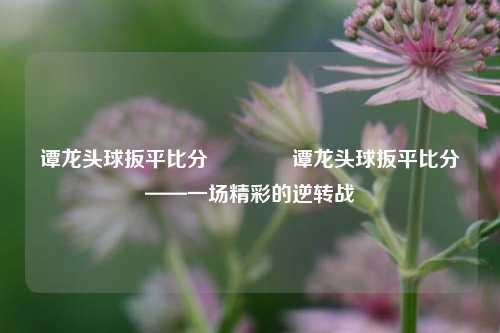 谭龙头球扳平比分👈谭龙头球扳平比分——一场精彩的逆转战