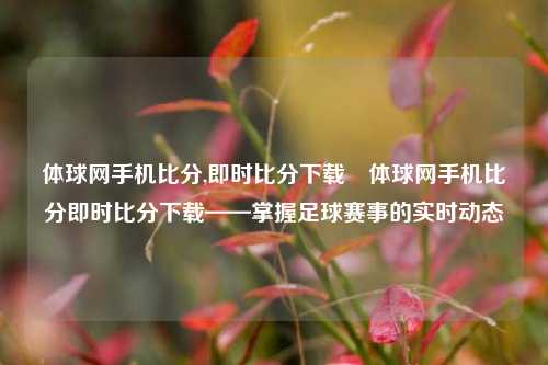 体球网手机比分,即时比分下载⚾体球网手机比分即时比分下载——掌握足球赛事的实时动态