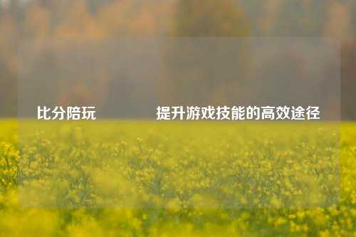 比分陪玩🏐提升游戏技能的高效途径